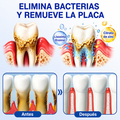 🇪🇸👨‍⚕️✅🦷 HEATWOLF® GumRevive – Gel reparador periodontal🦷✨2️⃣