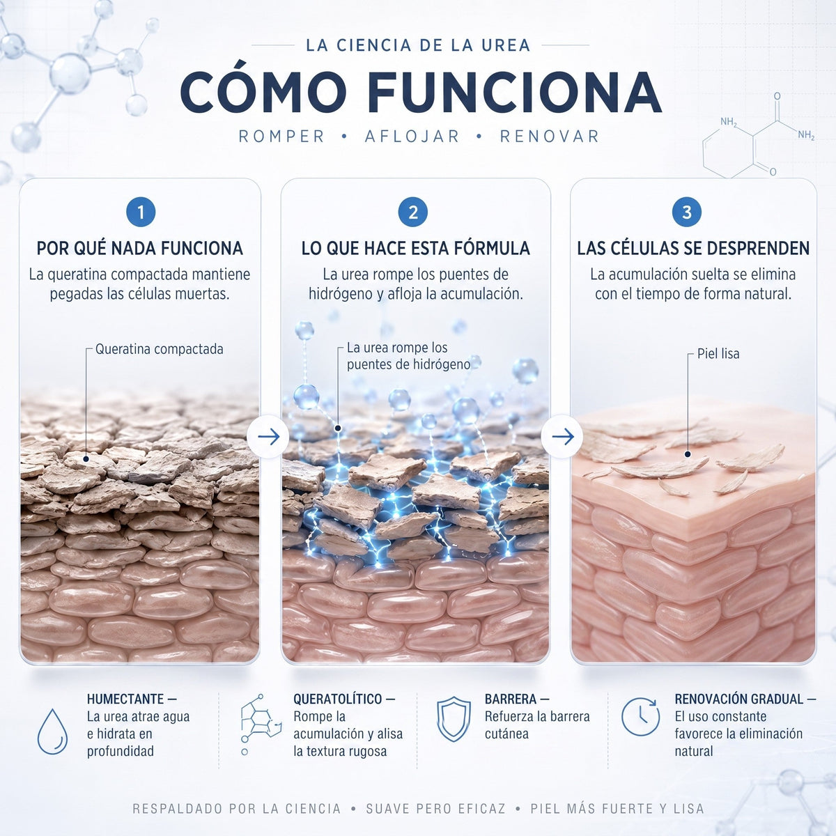 𝗖𝘂𝗿𝗲𝗩𝗶𝘃𝗼® — Crema de Urea al 40 %